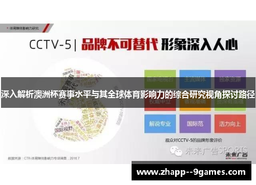 深入解析澳洲杯赛事水平与其全球体育影响力的综合研究视角探讨路径