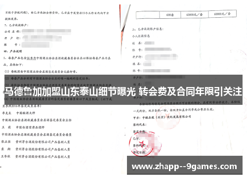 马德鲁加加盟山东泰山细节曝光 转会费及合同年限引关注