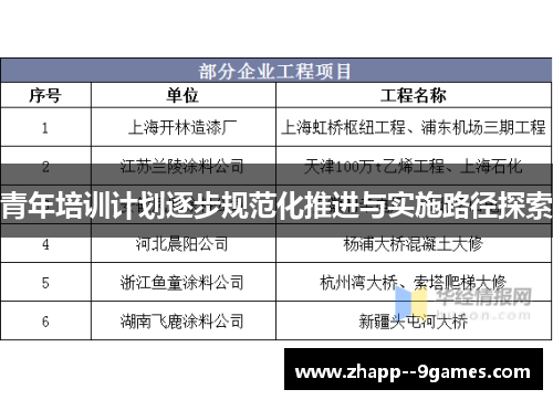 青年培训计划逐步规范化推进与实施路径探索