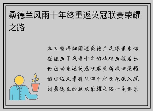 桑德兰风雨十年终重返英冠联赛荣耀之路